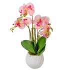 Orchidea cserepes gumi 4ágú rózsaszín M50cm