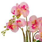 Orchidea cserepes gumi 4ágú rózsaszín M50cm