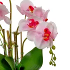 Orchidea cserepes gumi 4ágú fehér-rózsaszín M50cm