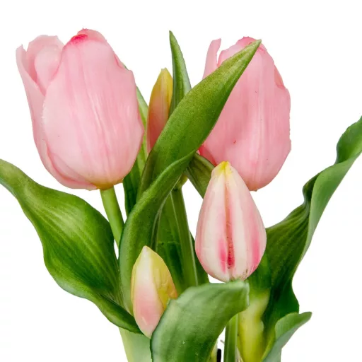Cserepes tulipán gumi 5v. M23cm 12db/#