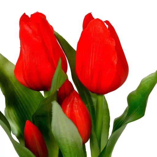 Cserepes tulipán gumi 5v. M23cm 12db/#