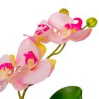 Orchidea cserepes gumi rózsaszín M33cm