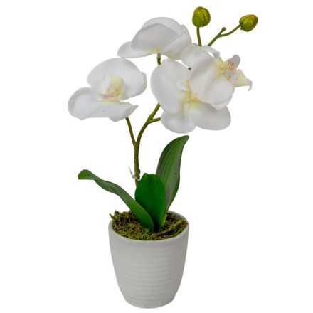 Orchidea cserepes gumi fehér M33cm