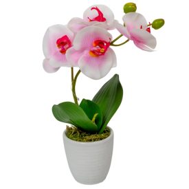 Orchidea cserepes gumi fehér-rózsaszín M33cm