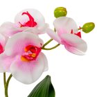 Orchidea cserepes gumi fehér-rózsaszín M33cm