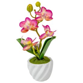 Orchidea cserepes gumi krém-lila M21cm