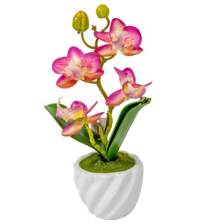 Orchidea cserepes gumi krém-lila M21cm