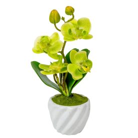 Orchidea cserepes gumi zöld M21cm