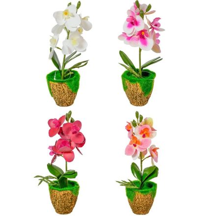 Cserepes orchidea gumi M27cm 12db/#