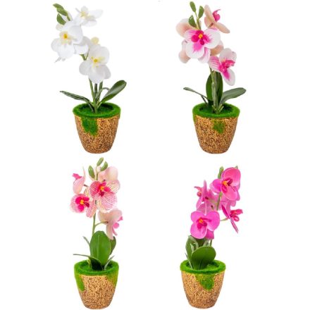 Cserepes orchidea gumi M27cm 12db/#