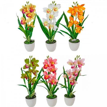 Cserepes orchidea gumi M42cm 12db/#