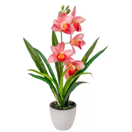 Cserepes orchidea gumi rózsaszín M42cm 12db/#