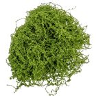 Mű moha zöld 100g-os