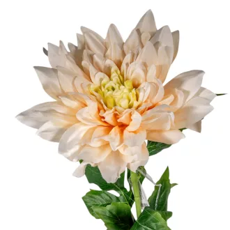 Dália szálas krém M98cm 16db/#