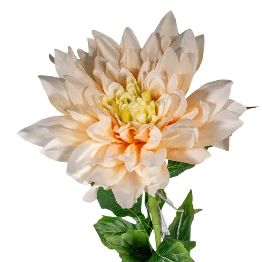 Dália szálas krém M98cm 16db/#