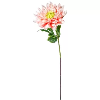 Dália szálas rózsaszín M98cm 16db/#