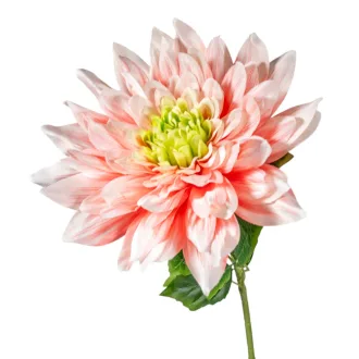 Dália szálas rózsaszín M98cm 16db/#