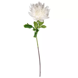Dália szálas fehér M98cm 16db/#