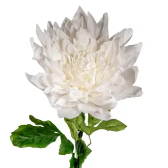 Dália szálas fehér M98cm 16db/#