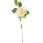 Dália szálas sárga M60cm 24db/#