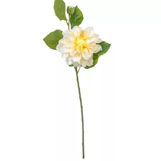 Dália szálas sárga M60cm 24db/#