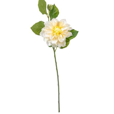 Dália szálas sárga M60cm 24db/#