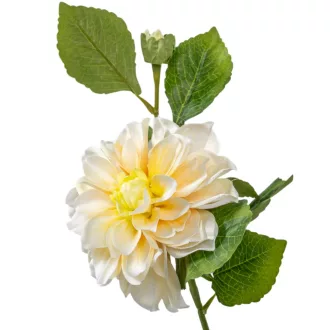 Dália szálas sárga M60cm 24db/#