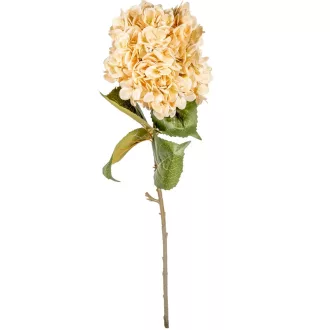 Hortenzia szálas bézs M77cm 12db/#