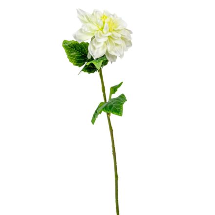 Dália szálas zöld M55cm 36db/#