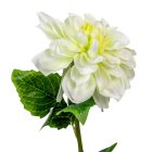 Dália szálas zöld M55cm 36db/#