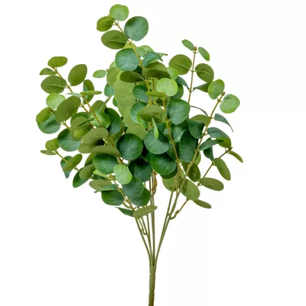 Eukaliptusz bokor 7ágú M47cm 24db/#