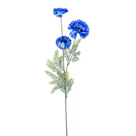 Búzavirág kék szálas M73cm 48db/#