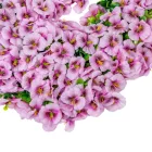 Árvácskás koszorú rózsaszín D50cm 4db/#