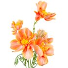 Pipacs ág narancssárga 5v. M90cm 24db/#