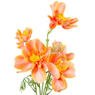 Pipacs ág narancssárga 5v. M90cm 24db/#