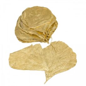 Kobra levél arany 20db-os