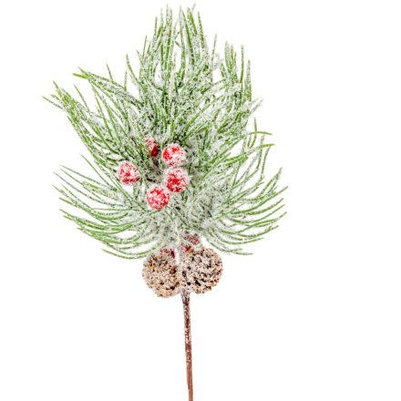 Tobozos, deres fenyő pick M29cm