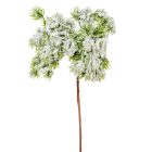 Fenyő pick havas M24cm