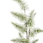 Fenyő ág havas M75cm