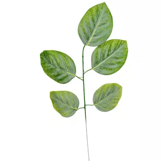 Leveles ág M56cm 12db/köteg