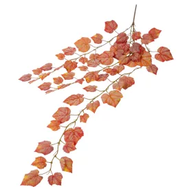 Szőlő leveles őszi futó 120cm