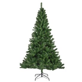 Fenyőfa Monarch pine M210cm