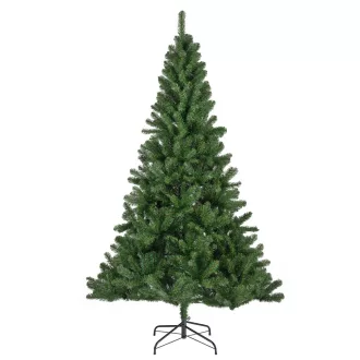 Fenyőfa Monarch pine M210cm