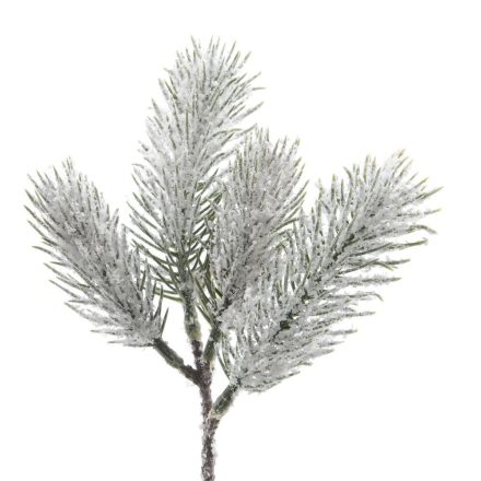 Havas fenyő ág 21cm