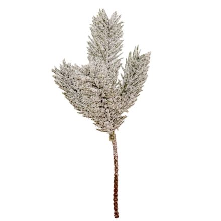 Havas fenyő ág 21cm