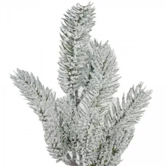 Havas fenyő ág 36cm