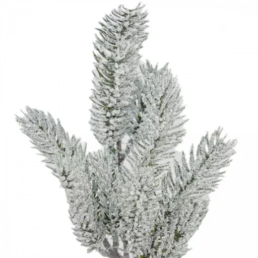 Havas fenyő ág 36cm