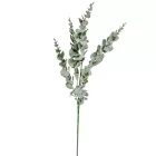 Eukaliptusz ág M87cm 64db/#