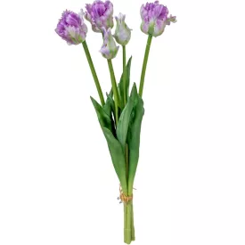 Papagáj tulipán gumi 5v. cirkás lila M46cm 12db/#