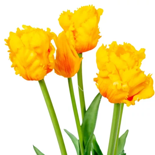Papagáj tulipán gumi 5v. narancssárga M46cm 12db/#